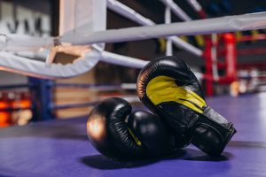 boxing-gloves-lying-empty-ring-transform-scalex